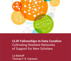 CLIR-Fellowships-in-Data-Curation-ThumbNail